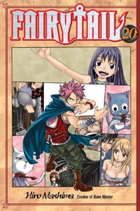 Fairy Tail GN 20