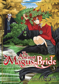 The Ancient Magus' Bride GN 3