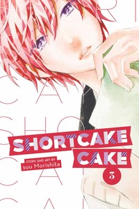 Shortcake Cake GN 3
