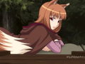 Spice and Wolf II (d)