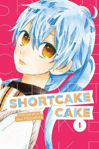 Shortcake Cake GN 1