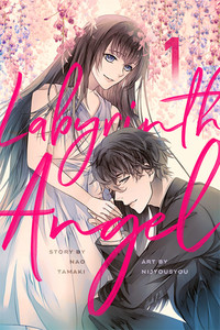 Labyrinth Angel Novel 1