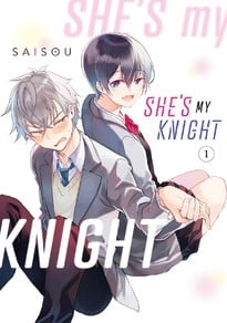 She's My Knight GN 1
