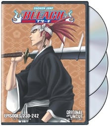 Bleach DVD Set 16