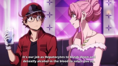 Cells at Work! Code Black (Anime Review)