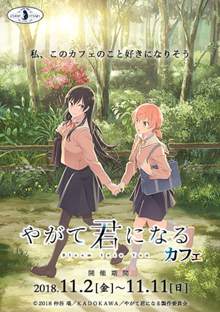 Image result for bloom into you