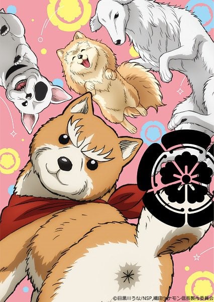 Oda Cinnamon Nobunaga Canine Samurai TV Anime Reveals Cast, Staff, January  Debut - News - Anime News Network
