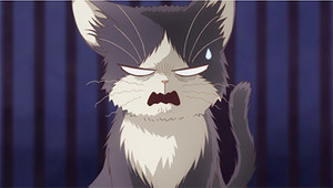 My Roommate is a Cat - The Winter 2019 Anime Preview Guide - Anime News  Network