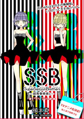 Super Seisyun Brothers Slice-of-Life Manga Gets TV Anime - News - Anime  News Network