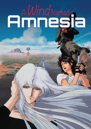 Discotek Adds A Wind Named Amnesia, Pilot Candidate, Soul Hunter Anime -  News - Anime News Network