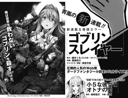Goblin Slayer, Vol. 14 (light novel) (Goblin Slayer (Light Novel