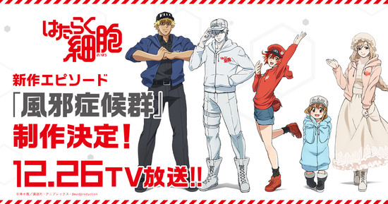Characters appearing in Cells at Work! Kesshouban Eigakan e Iku Anime