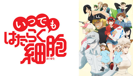 Episodes 1-2 - Cells at Work!! Season 2 - Anime News Network