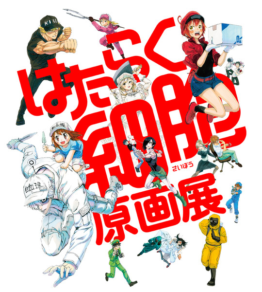 Cells at Work! Manga Exhibit Tours You Through the Human Body - Interest -  Anime News Network