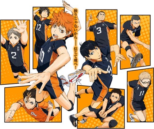 1394204 Haikyuu Anime Karasuno Volleyball  Rare Gallery HD Wallpapers